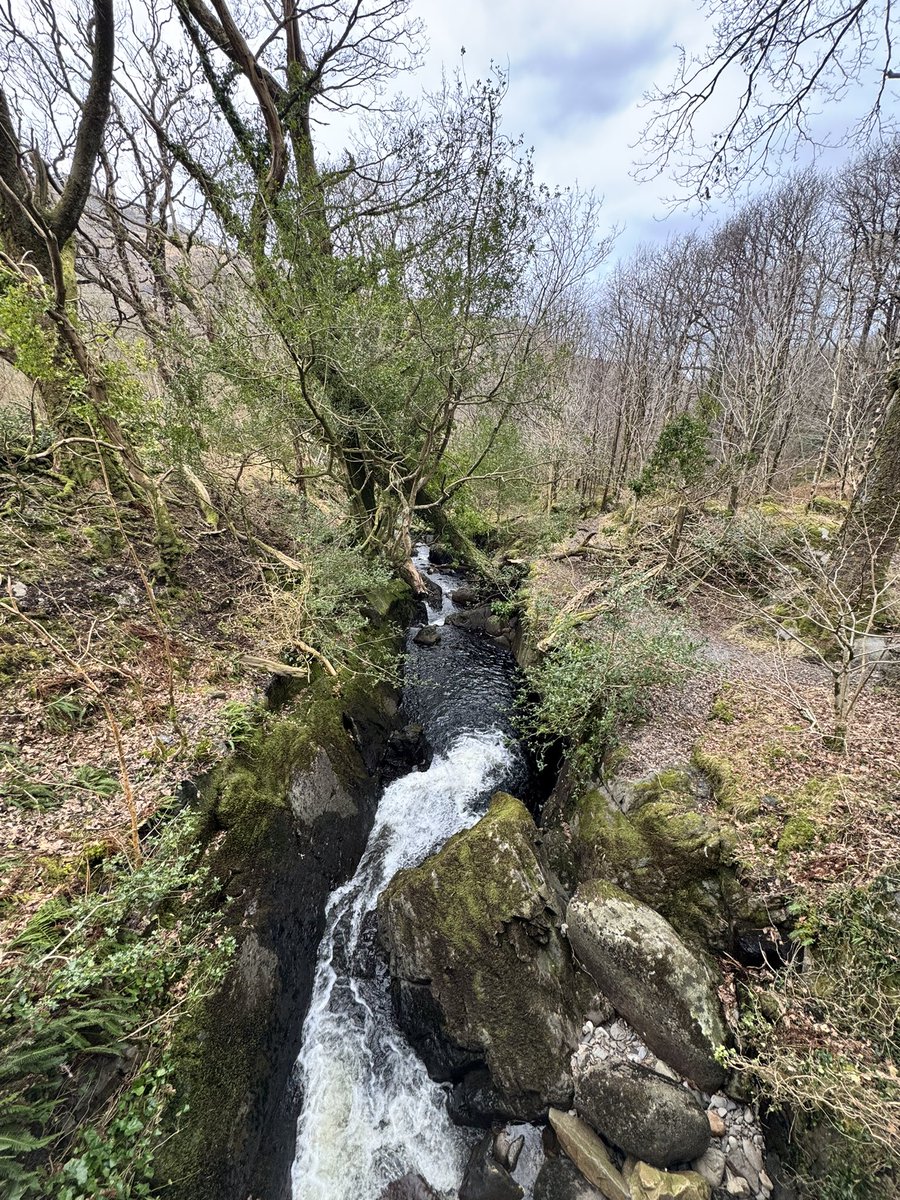 Always good to go out into nature and find peace