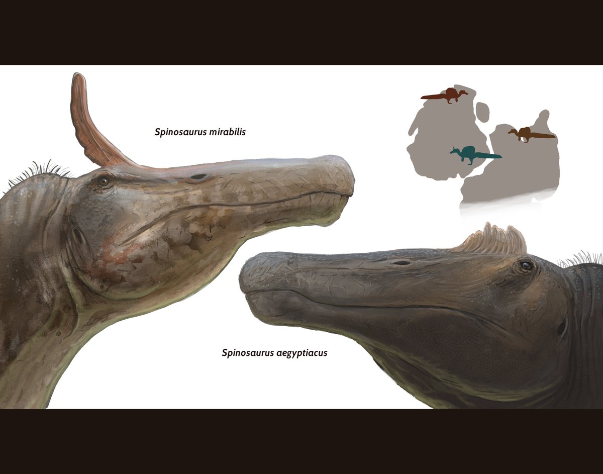 ヤマタノオロチ (@oroti0) / Posts / X