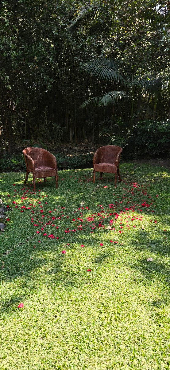 Carmen Baxin tweet media