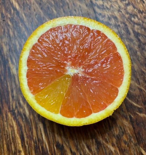 Andy Andrews tweet media