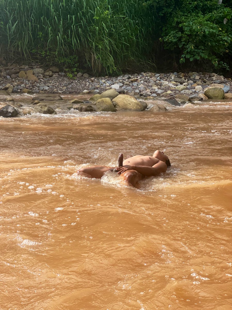 SELVATICO PERUANO tweet media