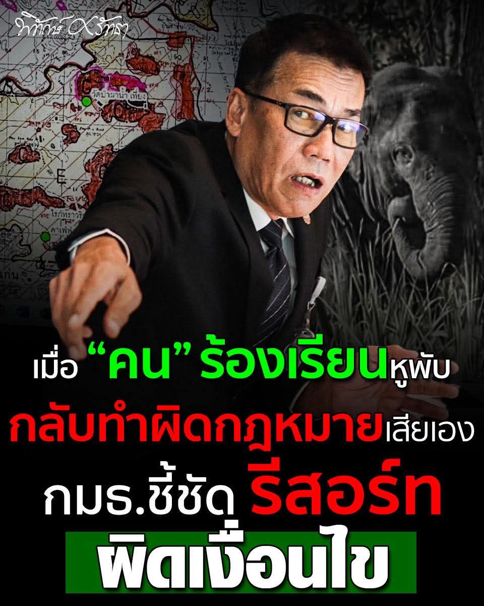 พอเถอะยกเลิก สปก ที่อยู่อดป่าให้หมด  อย่าให้คนไปรุกล้ำที่ของสัตว์ป่าอีก   #สีดอหูพับ #หูพับต้องไม่ตายฟรี