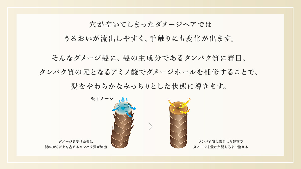 『+tmr(プラストゥモロー)』公式 tweet media