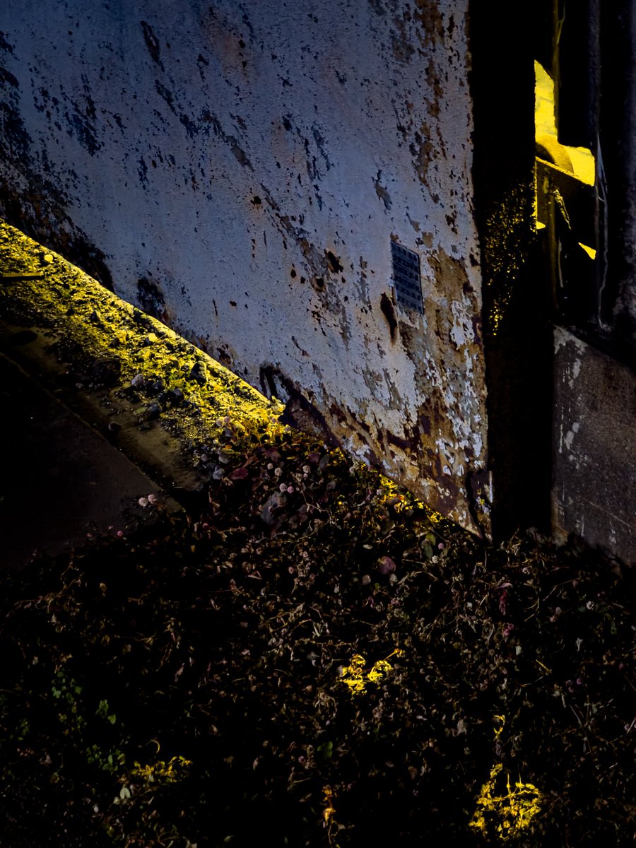 冬闇冷光
iPhone pic