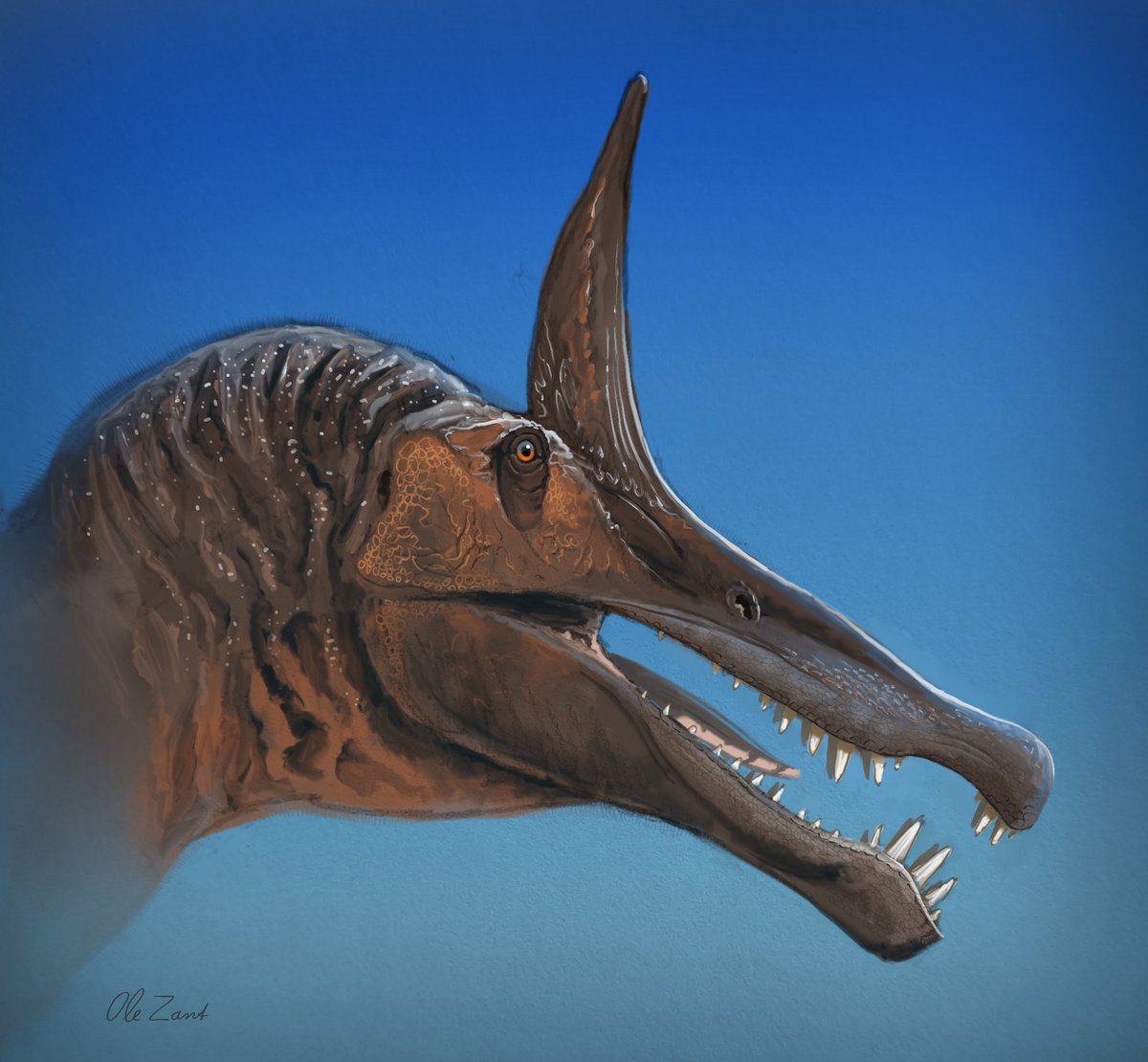 Meet Spinosaurus mirabilis.

I got to see the material and skull reconstruction in the lab last year. Lots of people have been working hard on getting this described for quite some time and it's great to finally see it published.