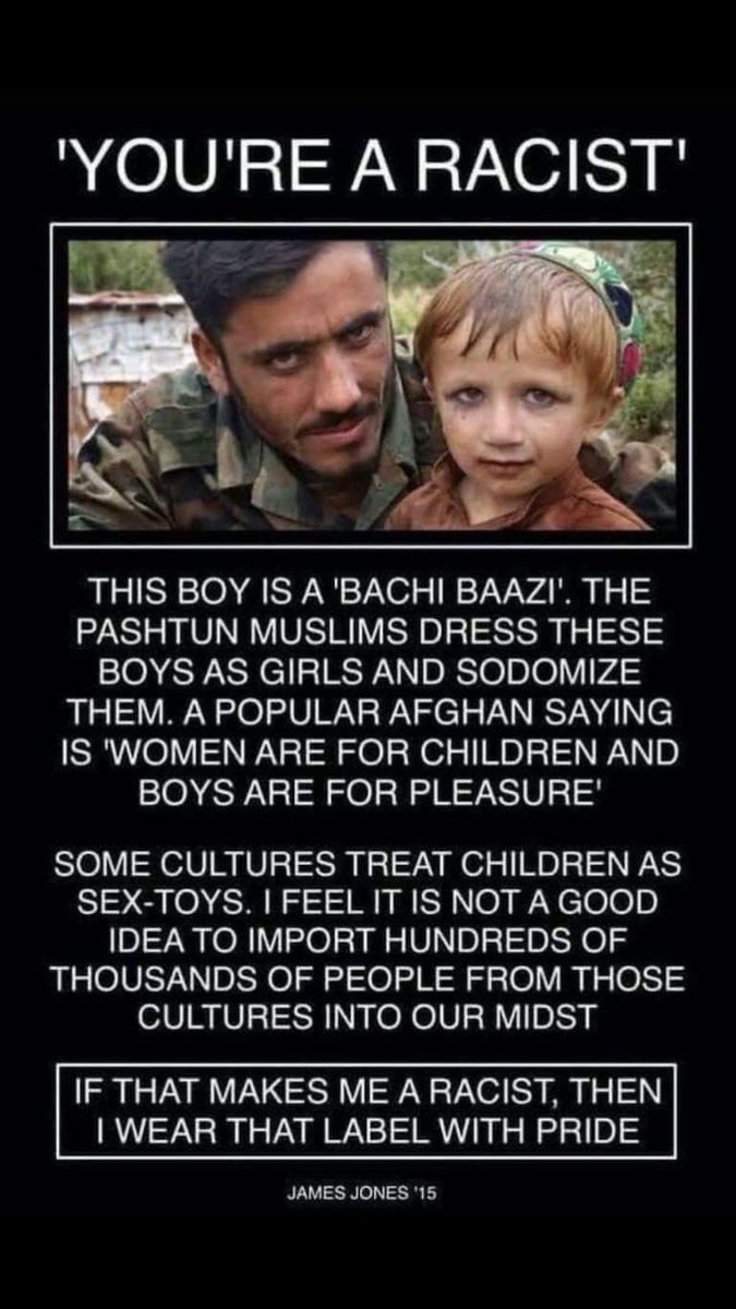 <a href="/GAZAWOOD1/">GAZAWOOD - the PALLYWOOD saga</a>