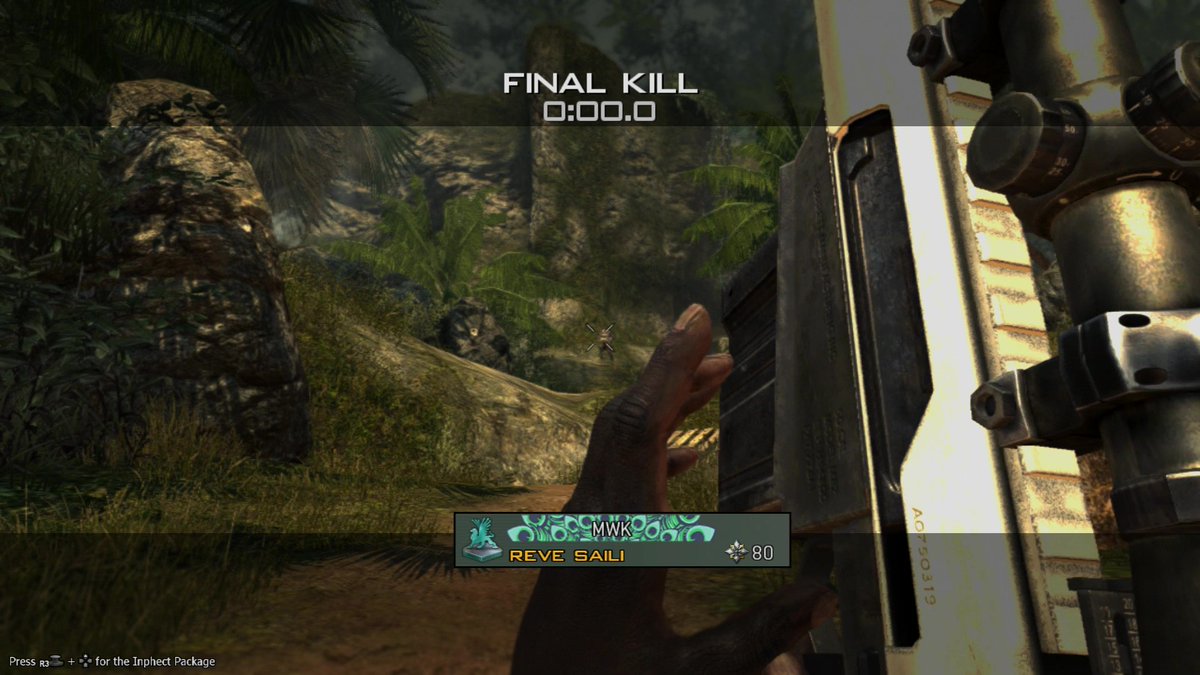 reve saili tweet media