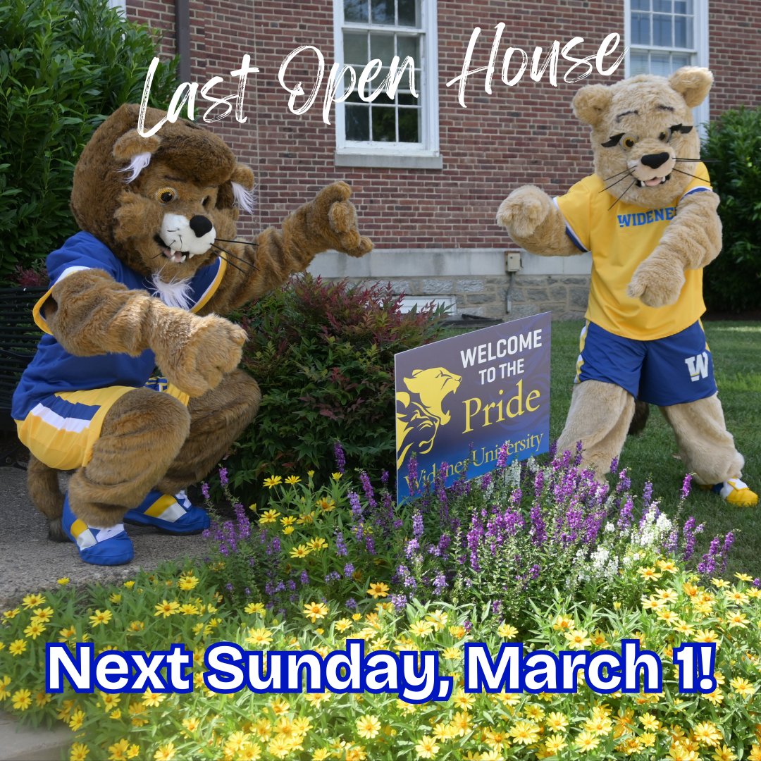 Widener Admissions tweet media