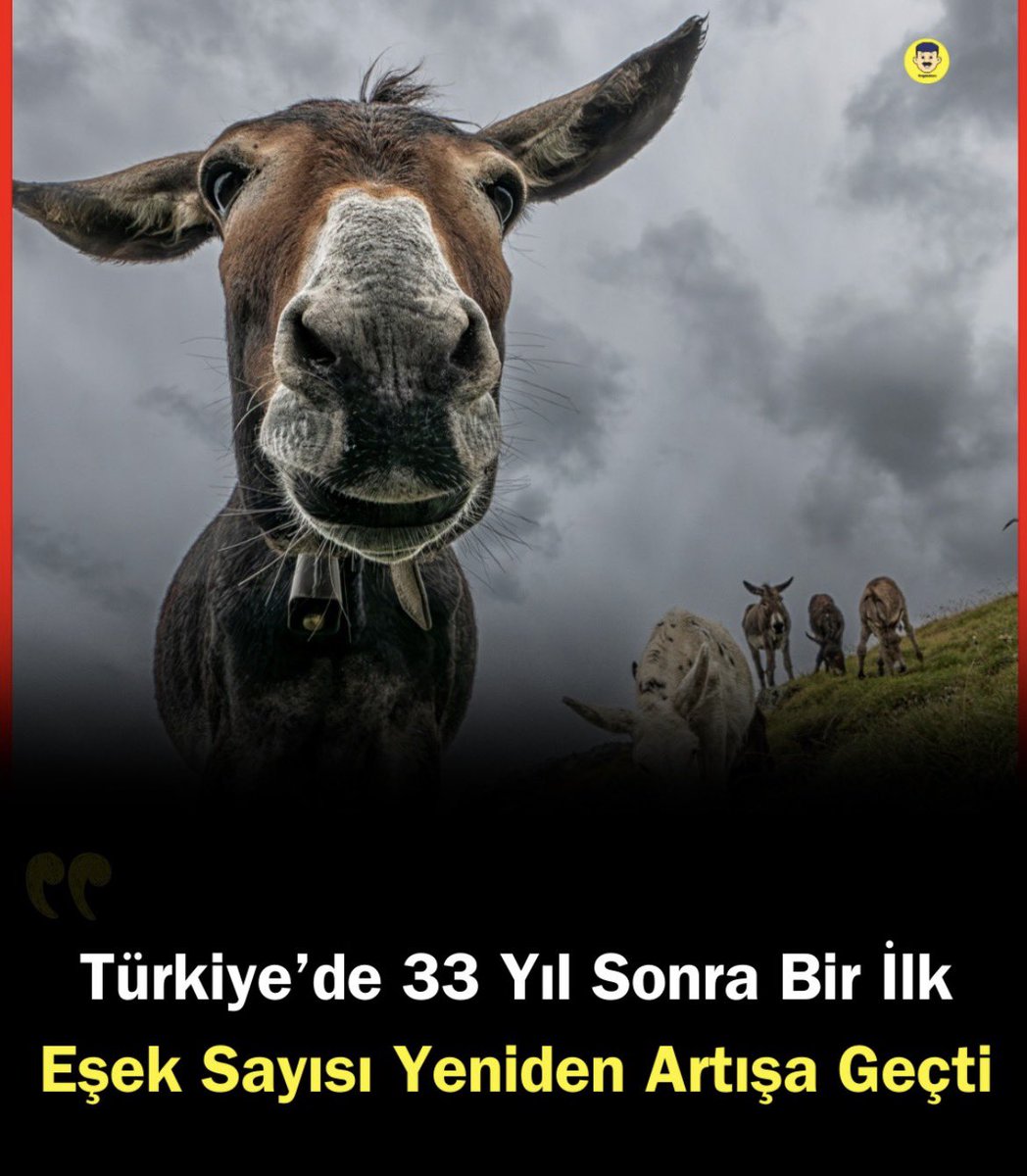 Doç. Dr. Ölümcül Lord Eraslan tweet media