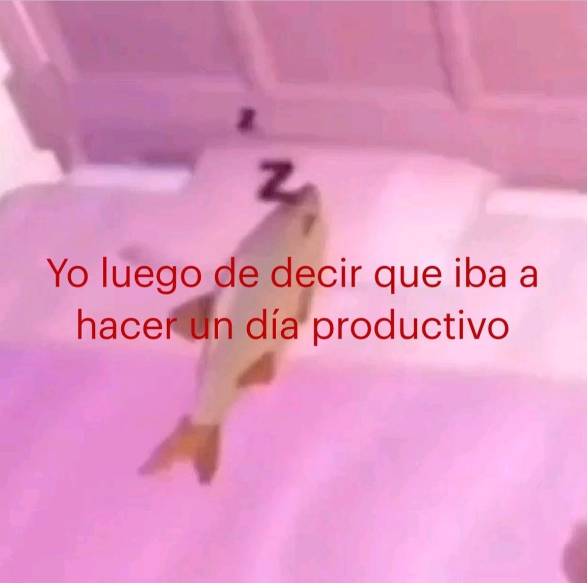 karla tweet media