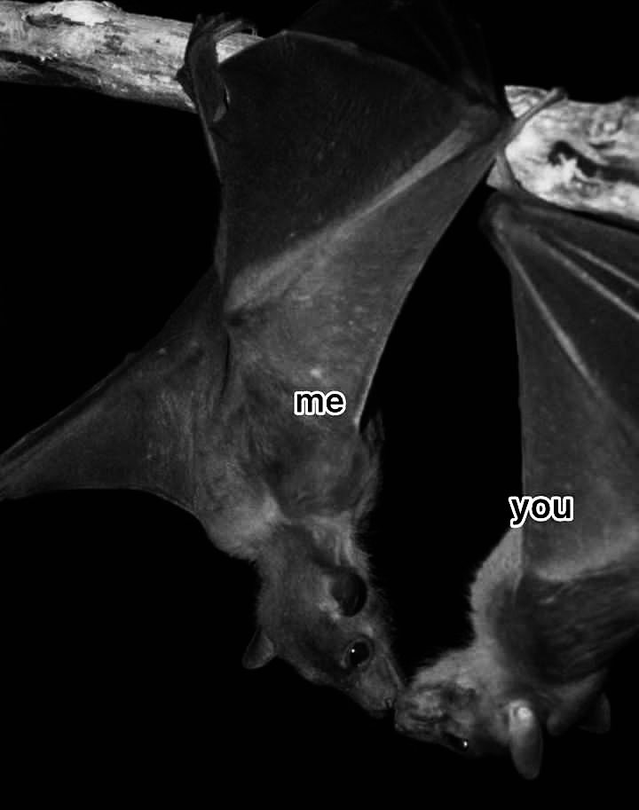 what i mean when i say let’s hang out