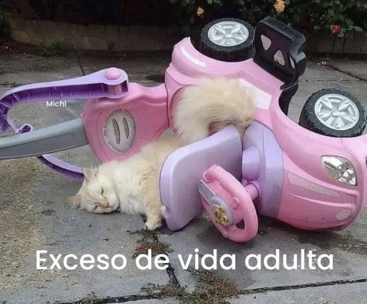 piña sin pizza (@skereunpesado) on Twitter photo 