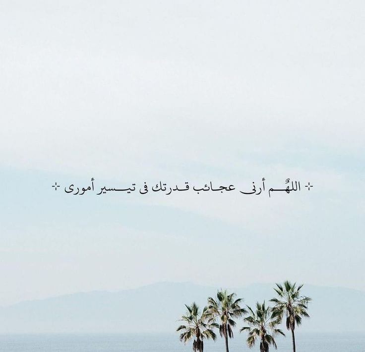 عبارات عظيمة (@great_phr) on Twitter photo 