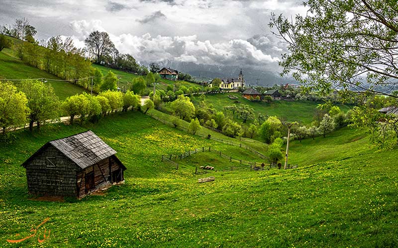 Maicel Roz tweet media