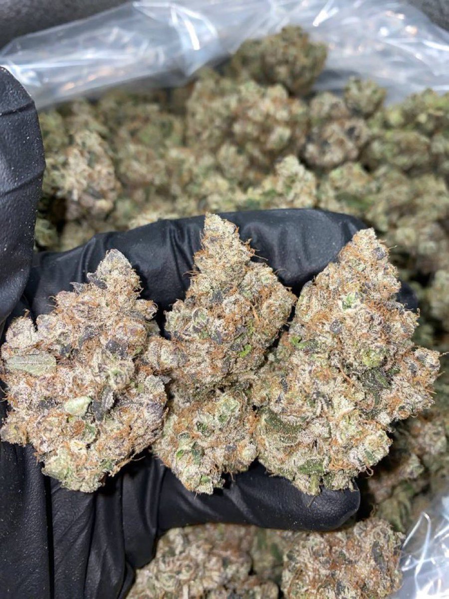 Lilpop114893's tweet image. Three different flavors in hml #atlplug #atlantaplug #gasin #atlga #atlantags #atlanta