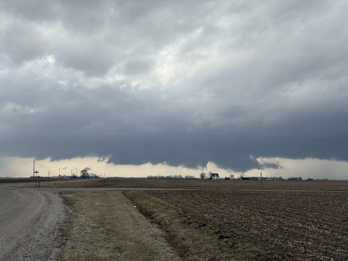 Alex Zielinski tweet media