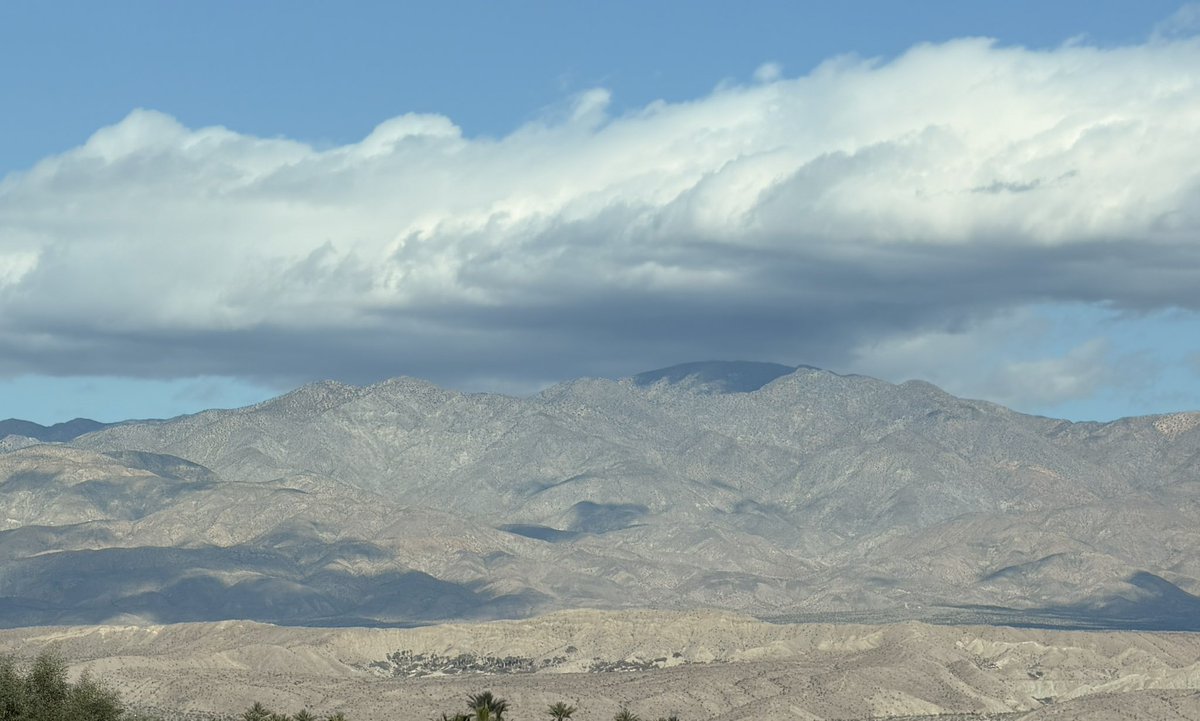 Beautiful day at the oasis today 🧡