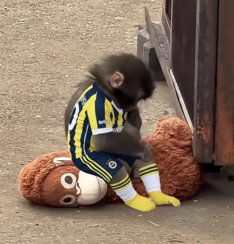 <a href="/uluser/">ULUSER</a> Onu fenerli yapalim