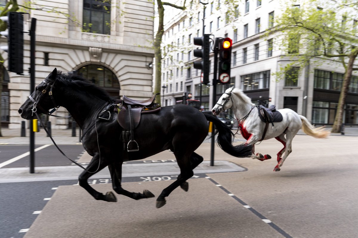 TheIllusion111's tweet photo. PRINCE ANDREW ARRESTED ON HIS 66TH BIRTHDAY, 666 DAYS AFTER HORSES RAMPAGE LONDON

https://t.co/8iRUIUaUK0

#princeandrew #princephilip #queenelizabeth #satan #eptstein #thebible #horses #judgment #jesuschrist

SHARE THIS!!!!! https://t.co/LgROKgCFUN