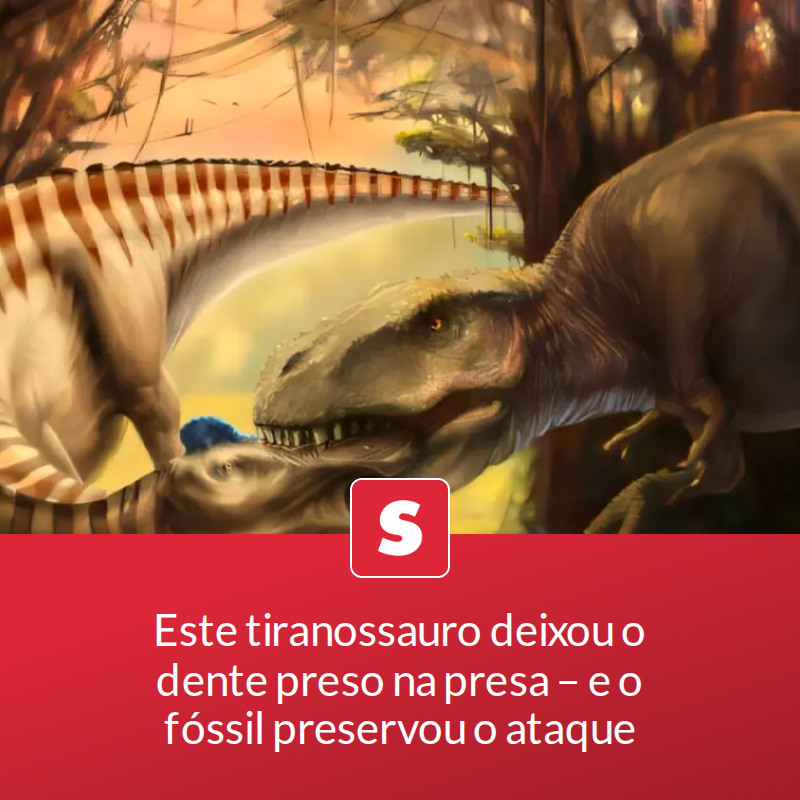 Este tiranossauro deixou o dente preso na presa – e o fóssil preservou o ataque

Há 66 milhões de anos, um grande herbívoro da América do Norte teve um encontro fatal com um dos maiores predadores da Terra.

📖 Leia a matéria no link - mrf.lu/zM-V