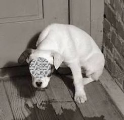 i Report Racism & Child Crimes tweet media