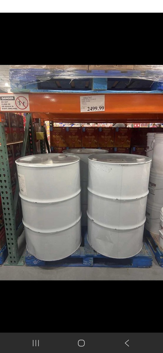 flip is looking for her next adventure. tweet media