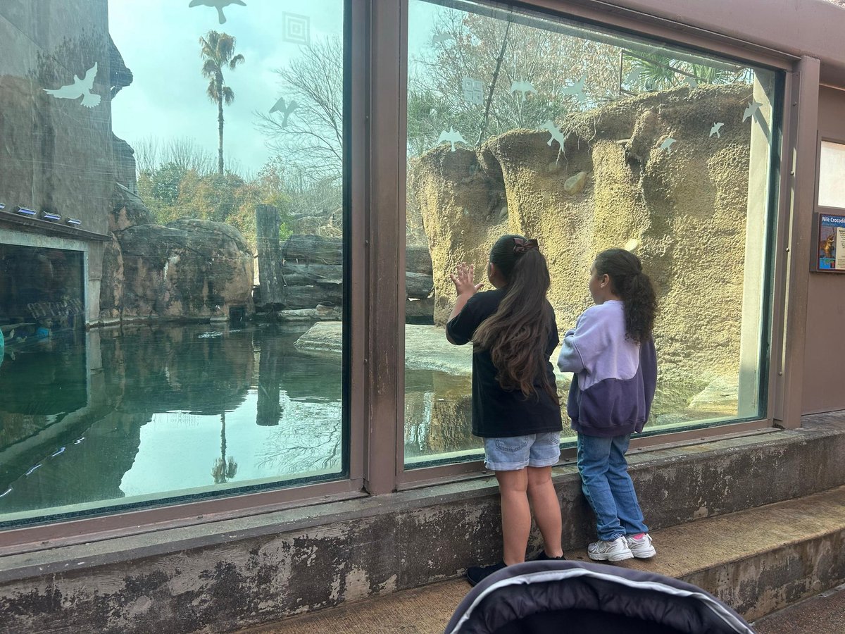 Mari Gill ✨ tweet media