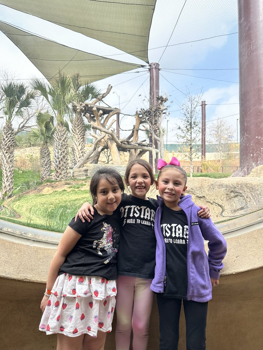 Mari Gill ✨ tweet media