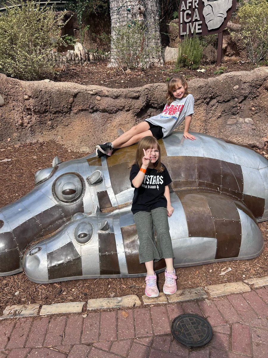 Mari Gill ✨ tweet media