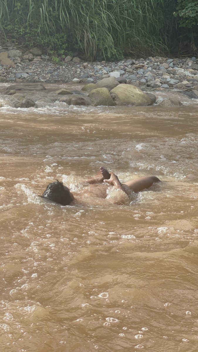 SELVATICO PERUANO tweet media