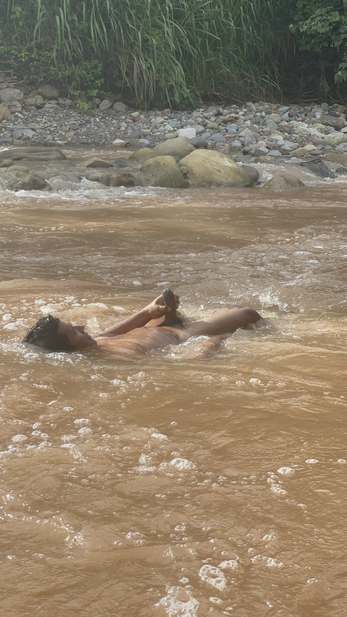 SELVATICO PERUANO tweet media