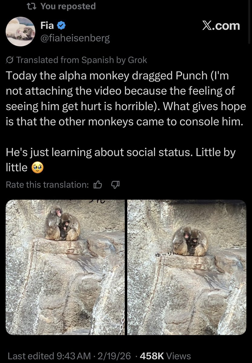 Bru☀️ tweet media