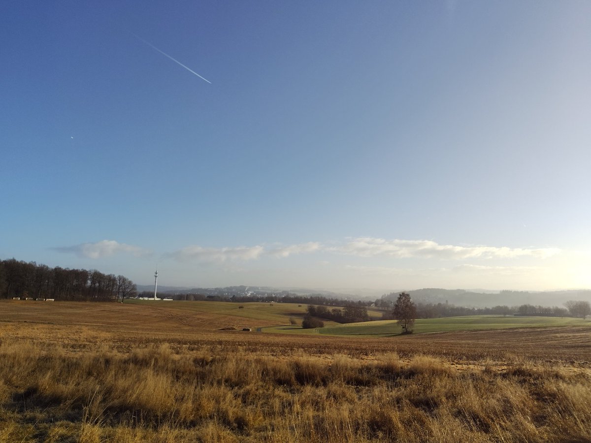 Welf von Hören tweet media
