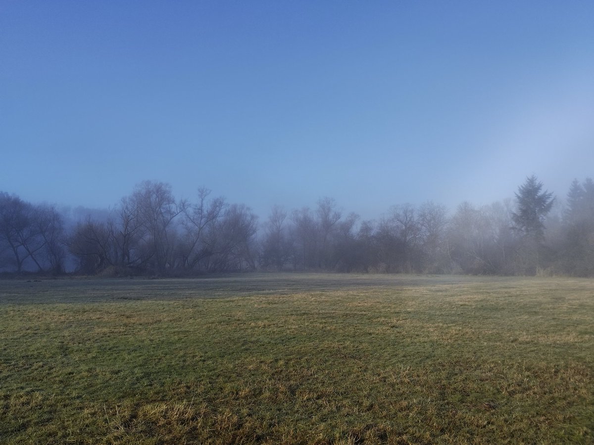 Welf von Hören tweet media