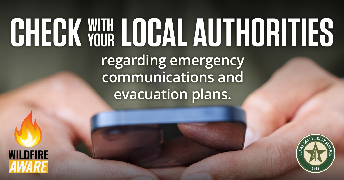 Texas A&M Forest Service tweet media