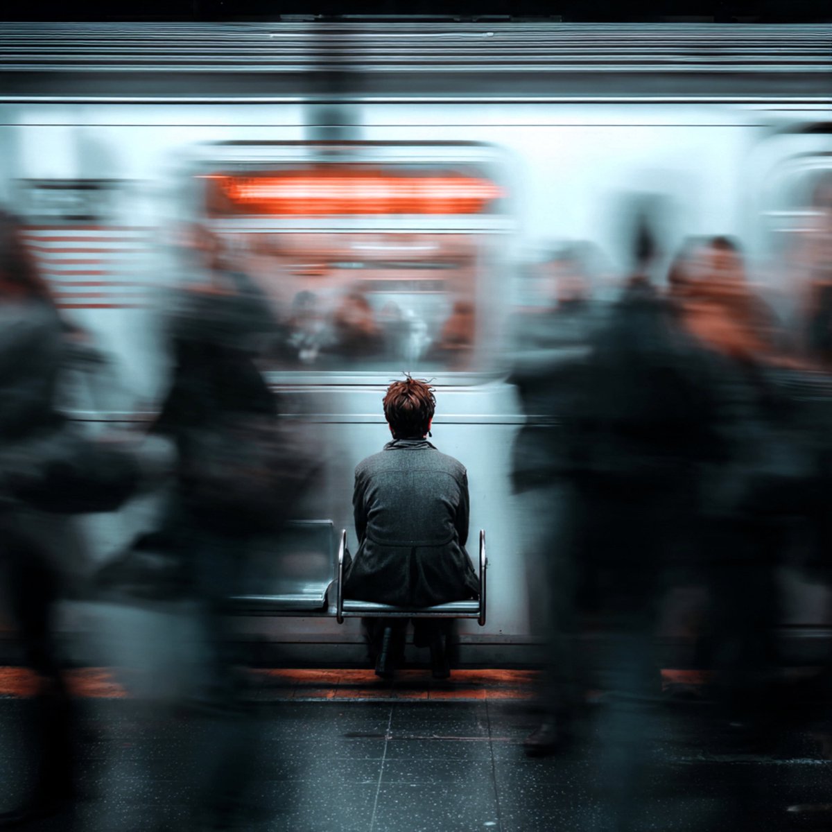 The Daily Former tweet media