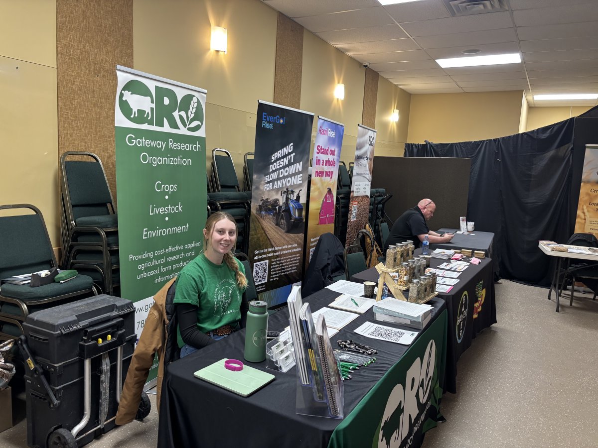 Gateway Research Org tweet media