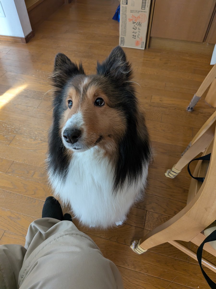 ききぞう (@Kikiz0) on X