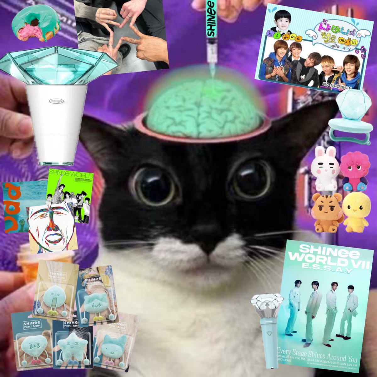 my 11th year of being a shawol... the shinee pill really never wears off