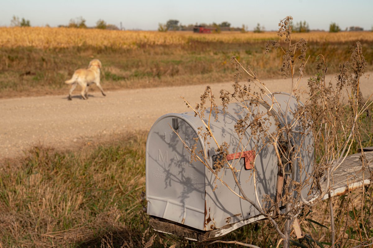 Bushel Farm tweet media