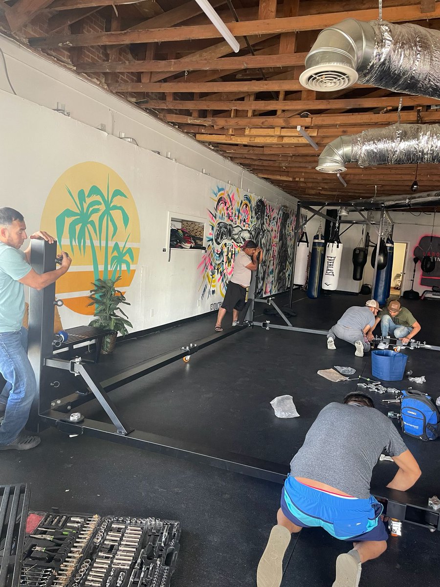 Boxing Bullies tweet media