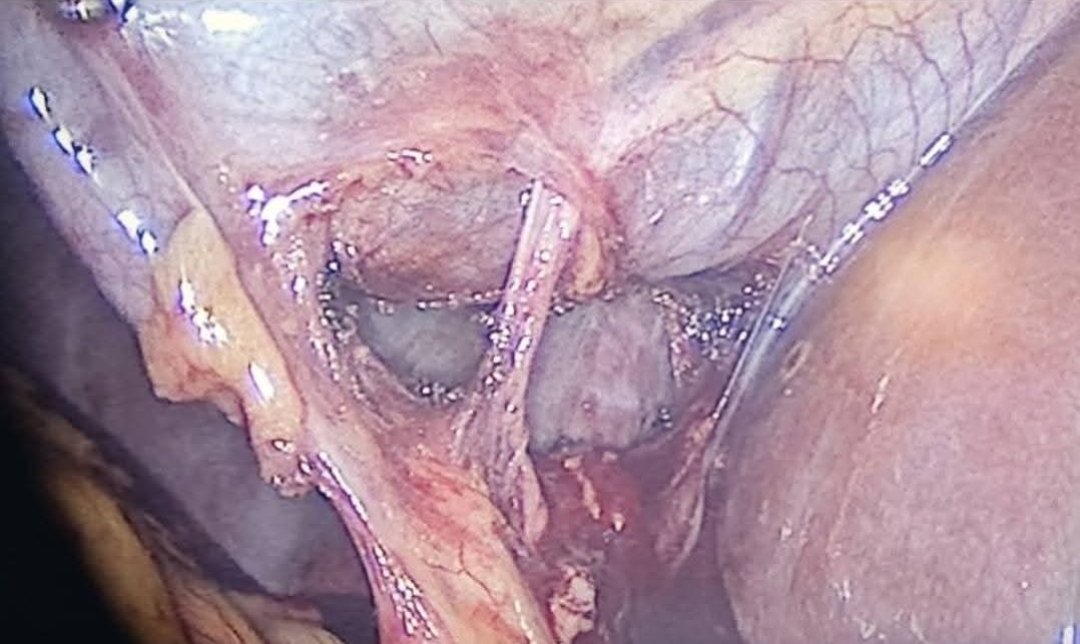 Haydar A. Nasser tweet media