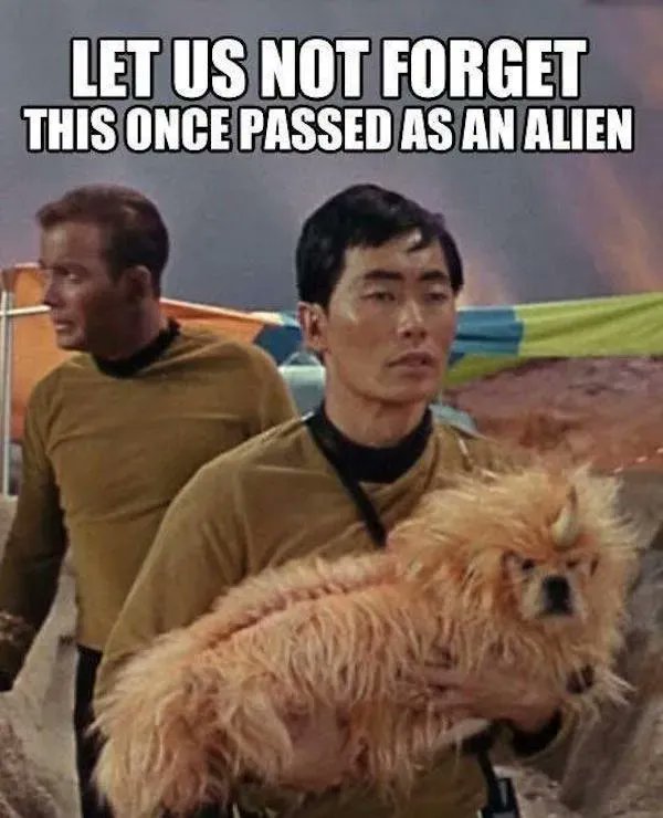 Garrick Dion tweet media