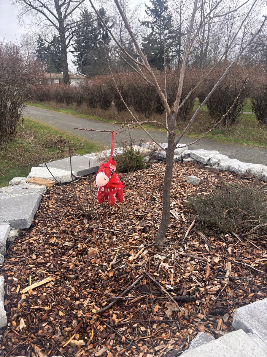 Native monkey family tweet media