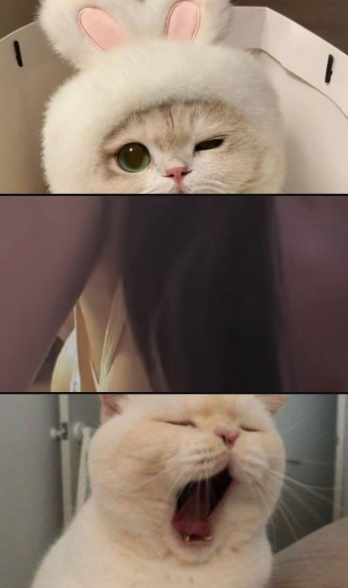 T H A L I A ​🖤​ tweet media