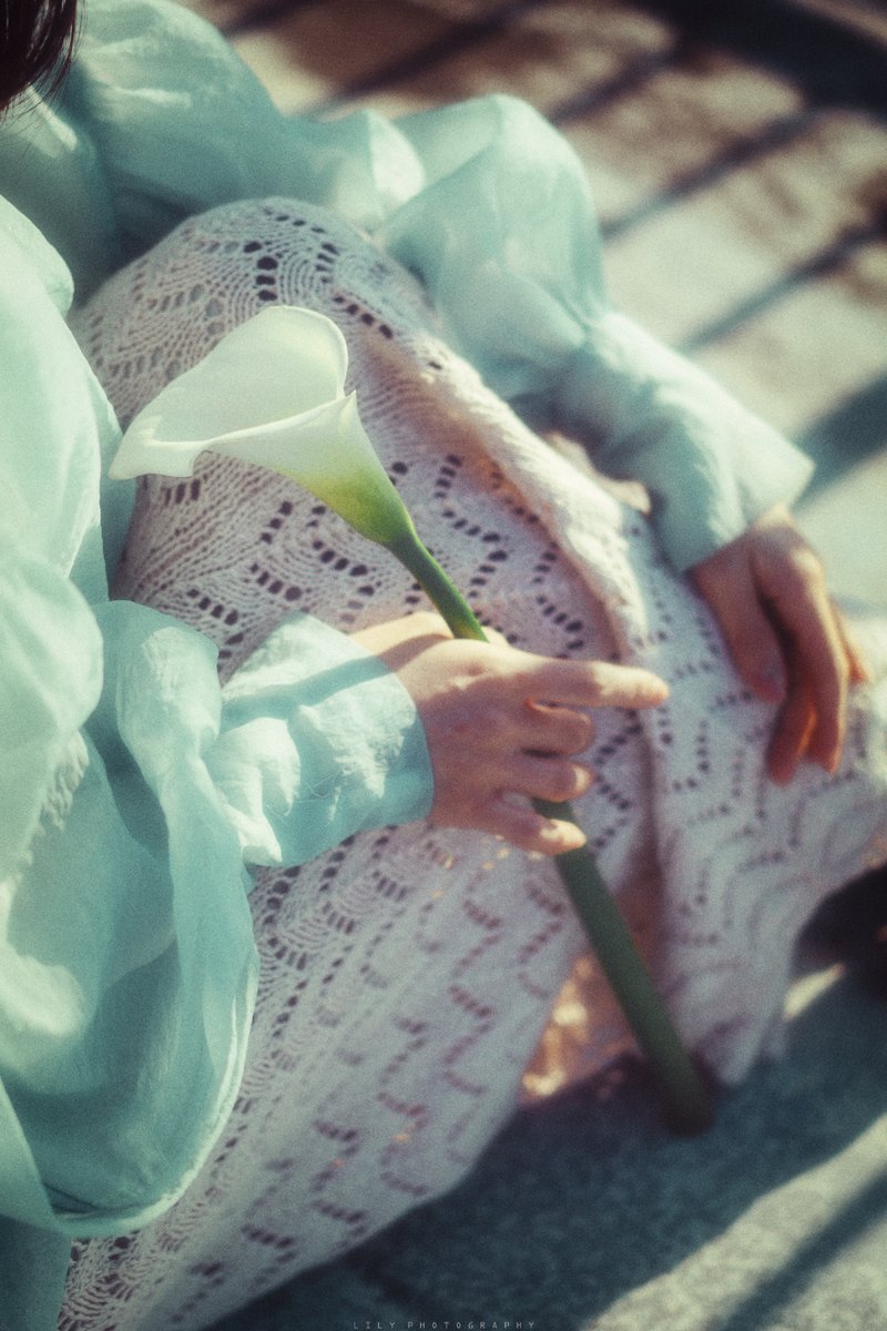 ◸
手にした白い花の重さとか、屋上の風の冷たさとか
◺
#まいにちありち <a href="/studionovember_/">スタジオノーベンバー🌸3末閉店</a>
#lilyphotography #portrait #スタジオノーベンバー