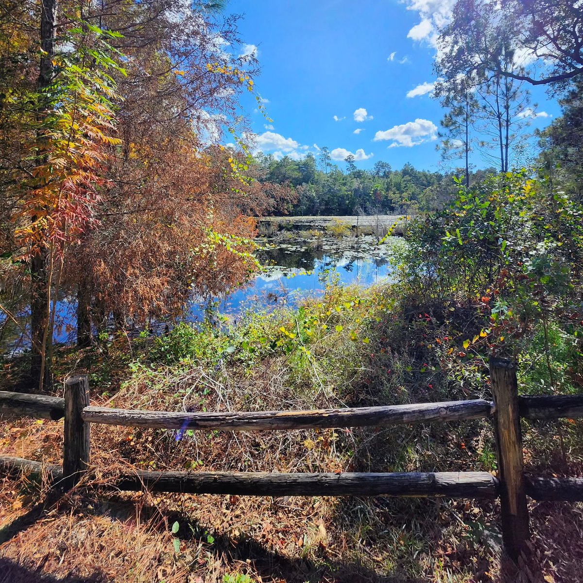 Florida State Parks tweet media