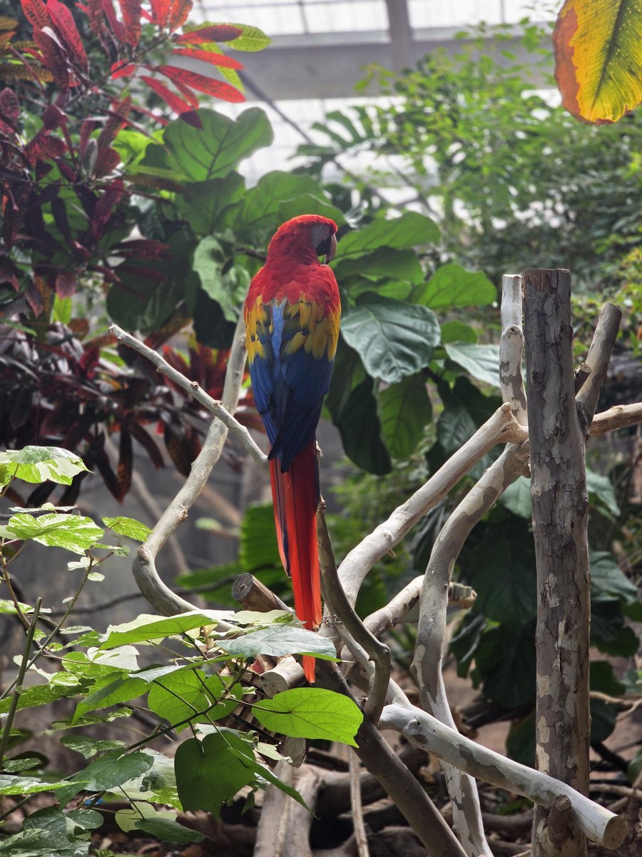 LeftExtremism's tweet image. We need more photography on X. If you agree post a picture.