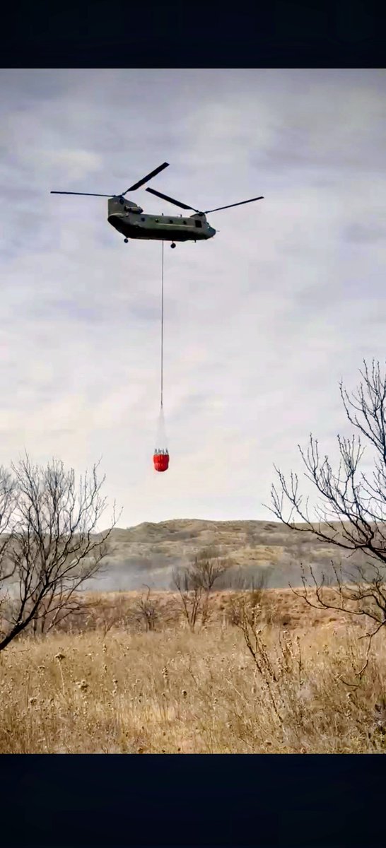 Ogallala Life💧🌱🦫🦬 tweet media