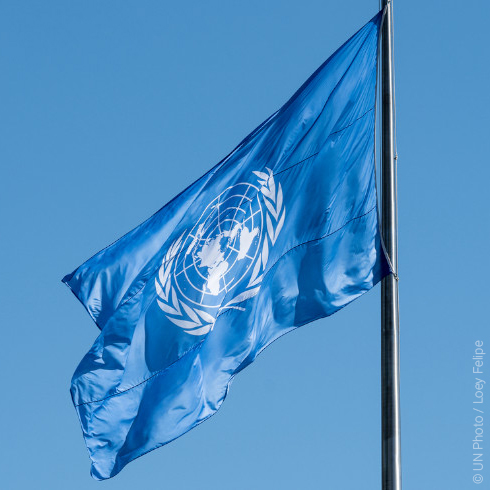 UN_SDG's tweet photo. Thank you @SpainUN for the commitment and increased contribution to the Special Purpose Trust Fund for the @UN 🇺🇳 Resident Coordinator system in 2026, lifting the work of UN teams to support countries and advance the #GlobalGoals🌎. 

⏩ https://t.co/bukgB8mznk https://t.co/aJHmCGpKNN